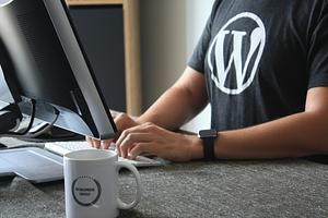 Convertor AB utför tjänsten Wordpress